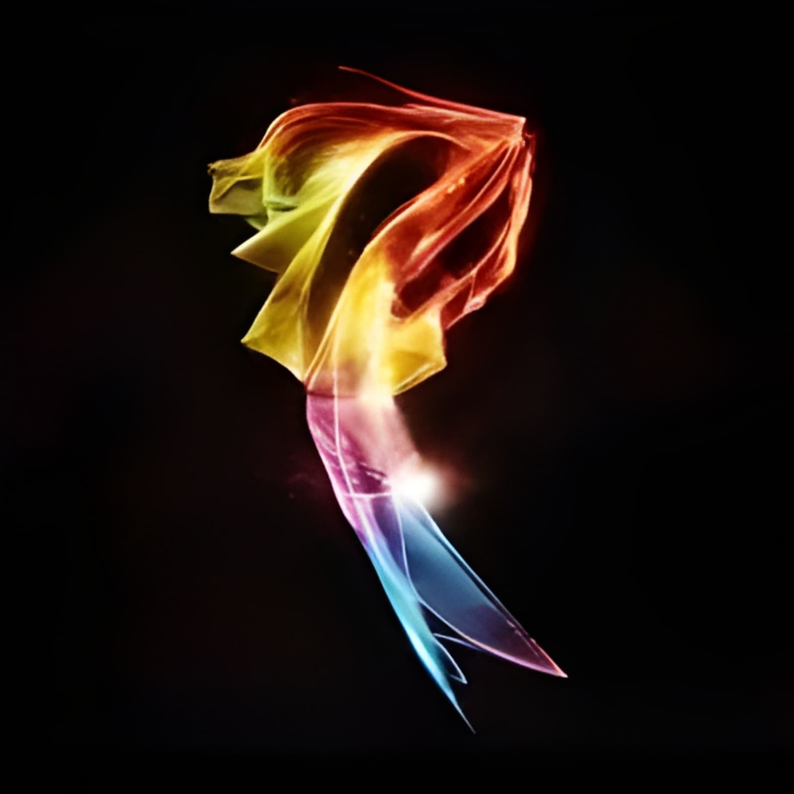 Studio Milarose logo